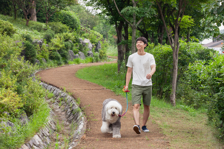 반려동물 산책 시 겪을 수 있는 어려움 소개 쿠팡 가이드 쿠팡 가이드 반려동물 산책 시 겪을 수 있는 어려움 소개