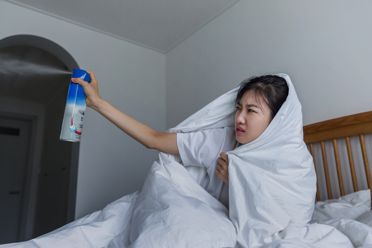 효과적인 벌레 퇴치제 추천